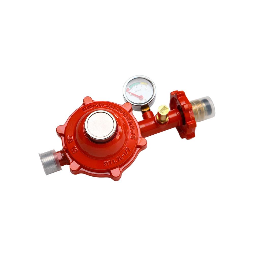 SYT1.2L-1/2B